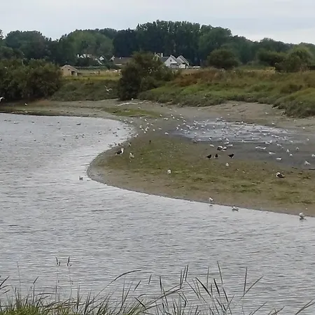 Lejlighed Le 501 F2 De Plain-pied Avec Terrasse *