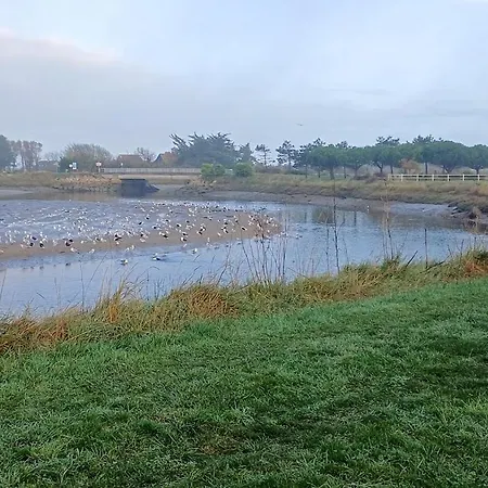 Le 501 F2 De Plain-pied Avec Terrasse * Courseulles-sur-Mer