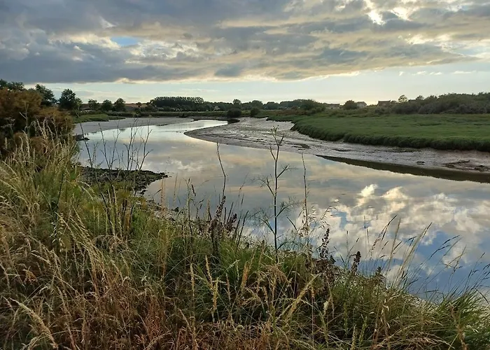 Le 501 F2 De Plain-pied Avec Terrasse