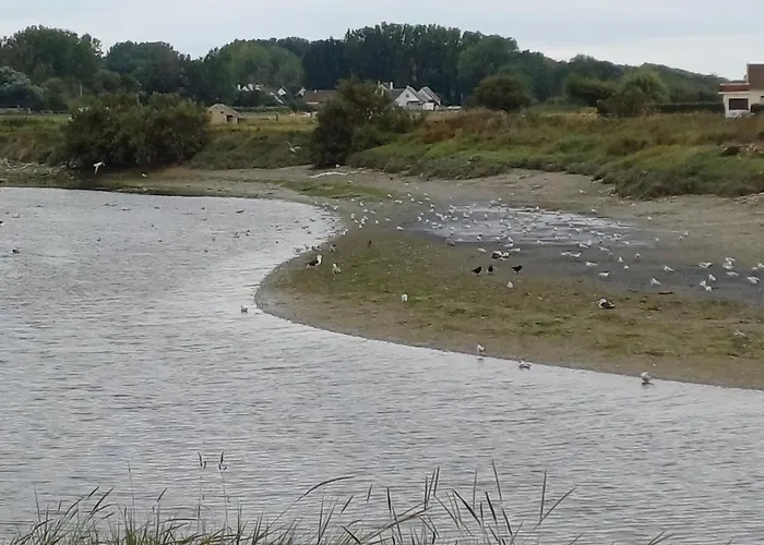 Apartment Le 501 F2 De Plain-pied Avec Terrasse *