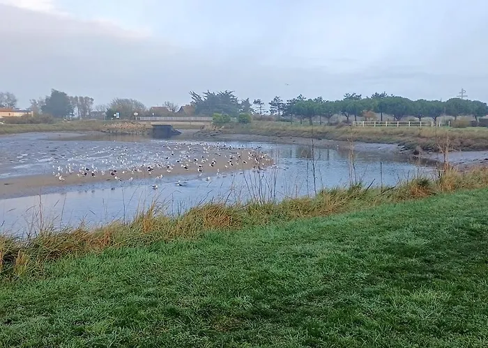 Le 501 F2 De Plain-pied Avec Terrasse * 库尔瑟勒·苏尔·梅尔