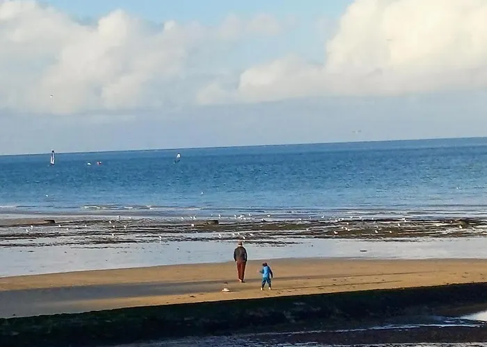 Le 501 F2 De Plain-pied Avec Terrasse *