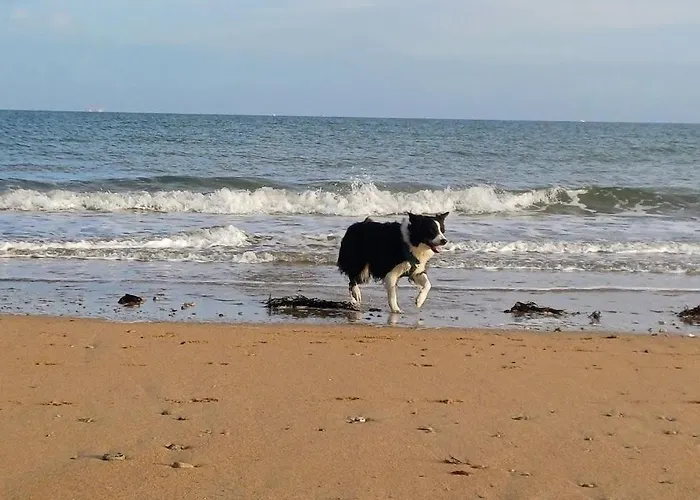 Le 501 F2 De Plain-pied Avec Terrasse * 库尔瑟勒·苏尔·梅尔